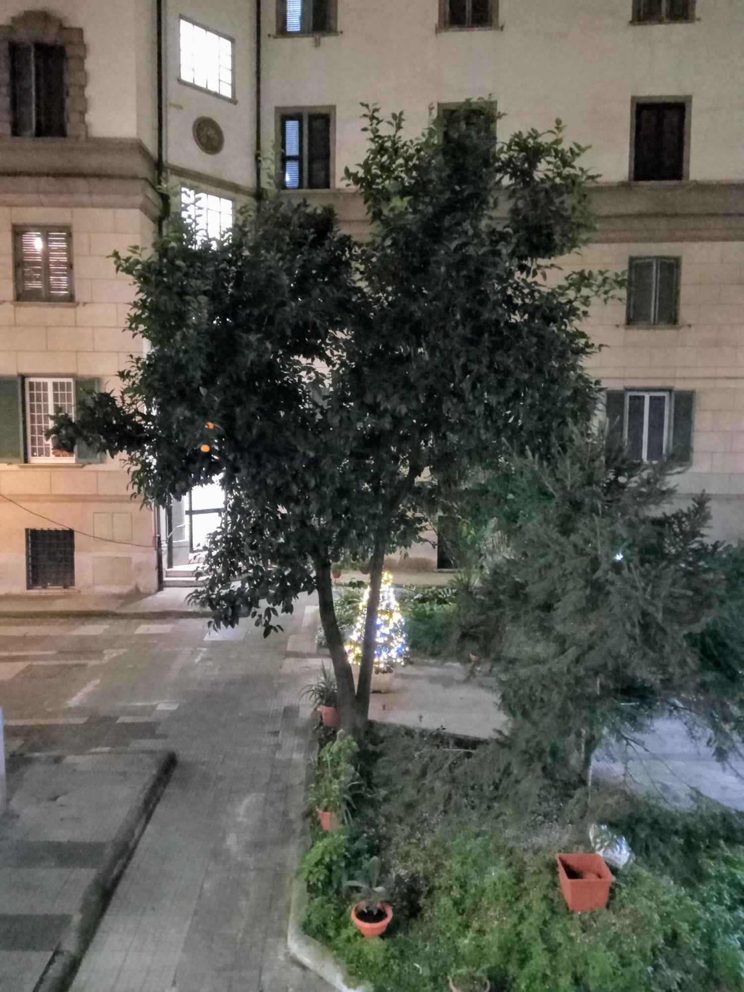 L'appartamento Di Carla Zona Storica Rom